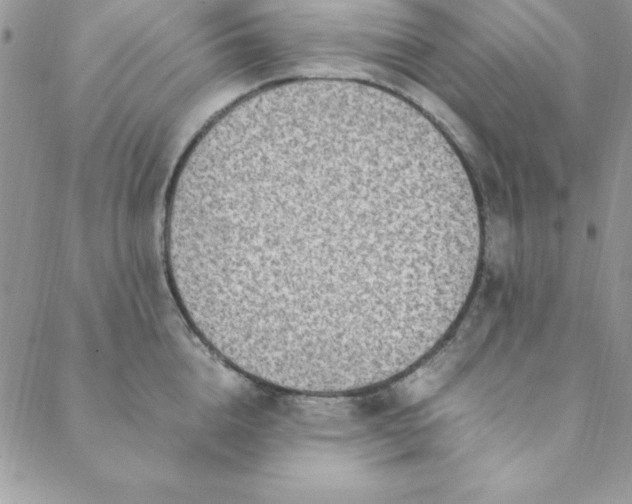 X0000088660856200706081701