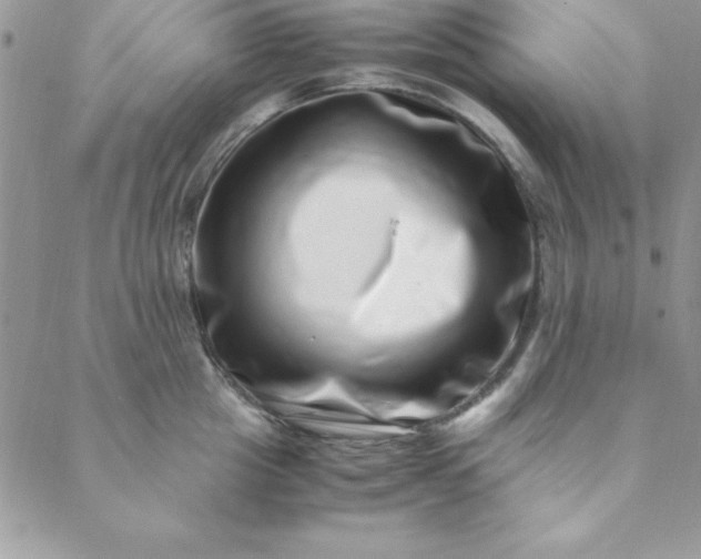 X0000088660857200706081701