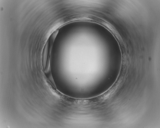 X0000088660858200706081701