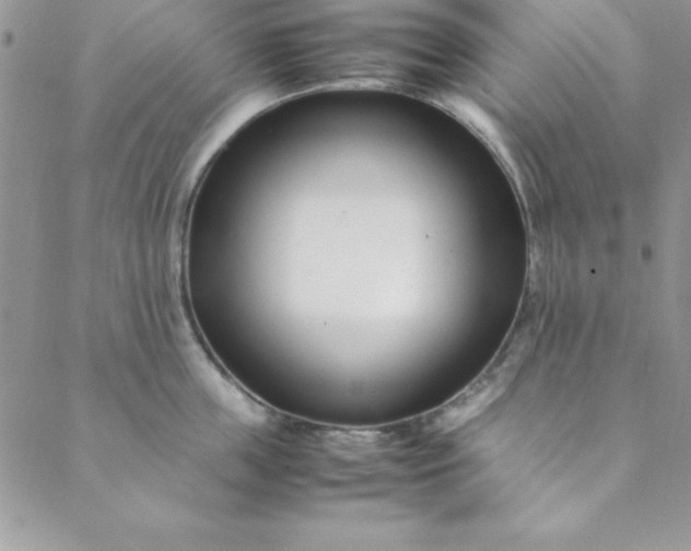 X0000088660859200706081701