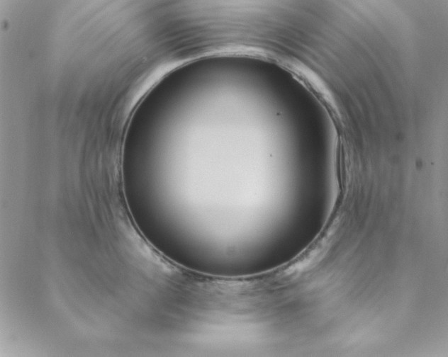 X0000088660860200706081701