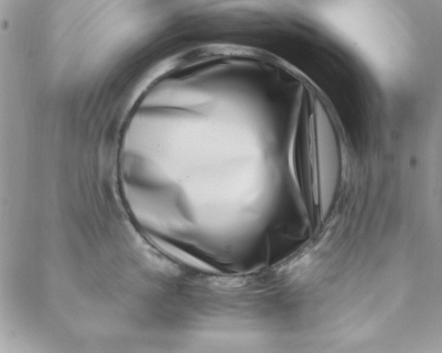 X0000088660861200706081701