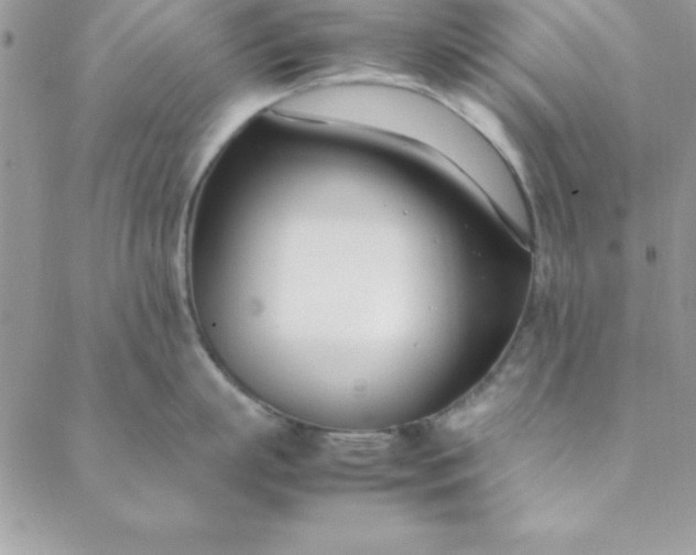 X0000088660863200706081701