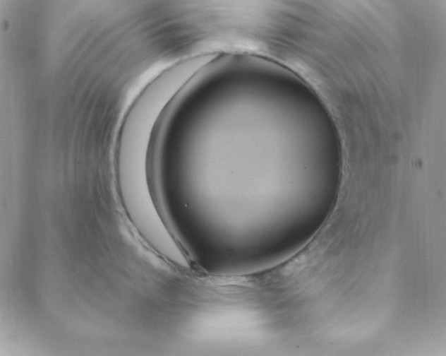 X0000088660864200706081701