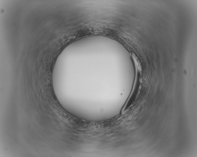 X0000088660865200706081700