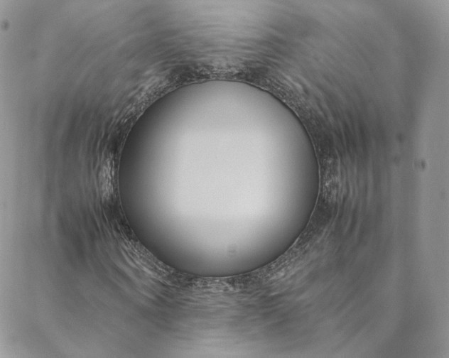 X0000088660866200706081700