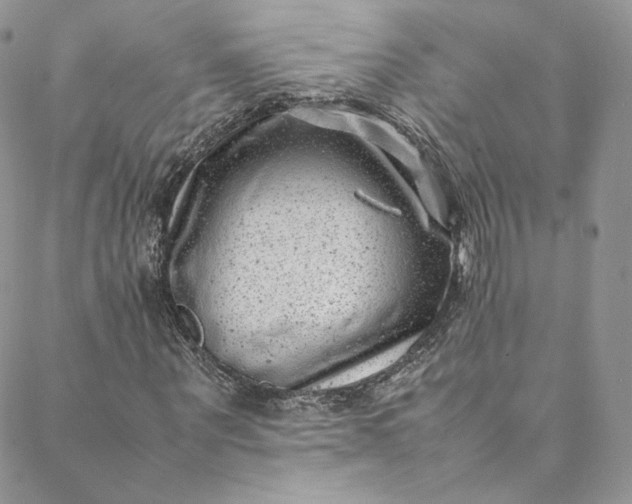 X0000088660867200706081700