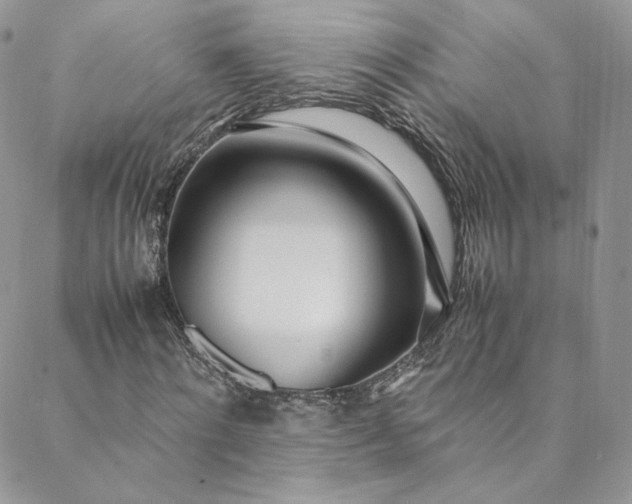 X0000088660868200706081700