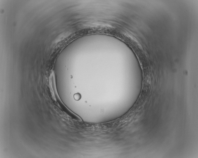 X0000088660869200706081700