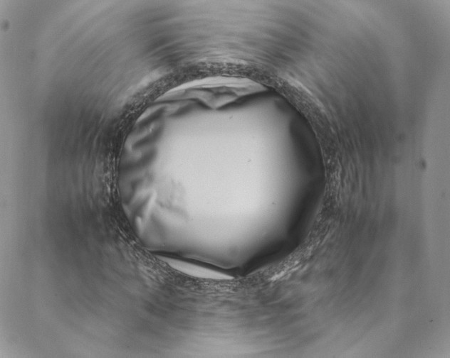 X0000088660870200706081700