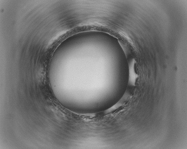 X0000088660872200706081700