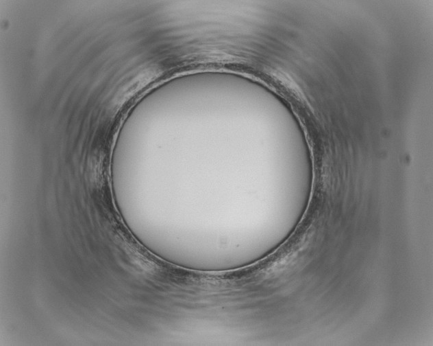 X0000088660873200706081700