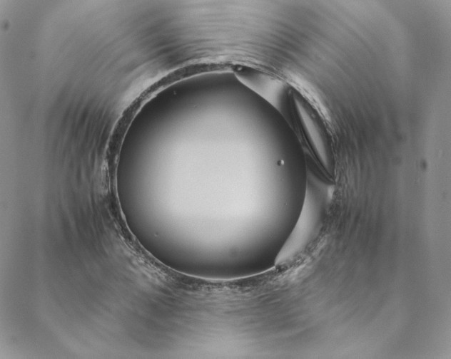 X0000088660876200706081700