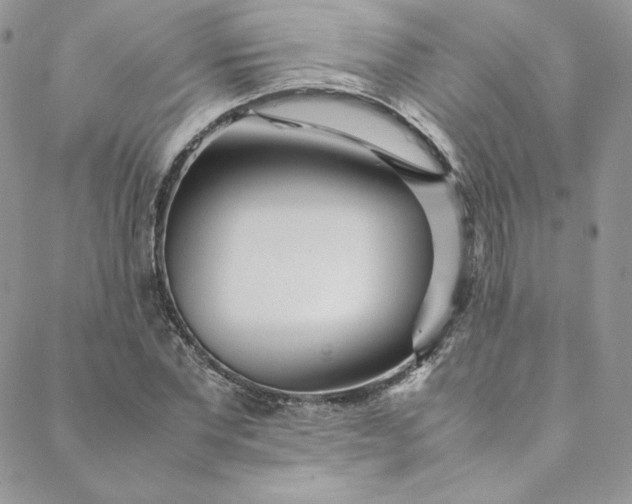 X0000088660877200706081700