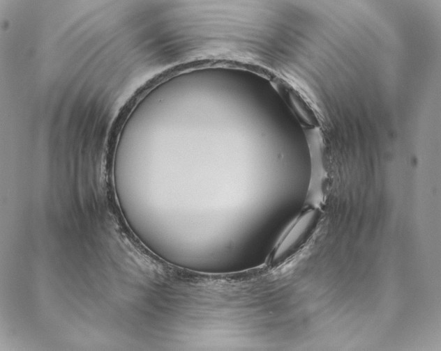 X0000088660880200706081700