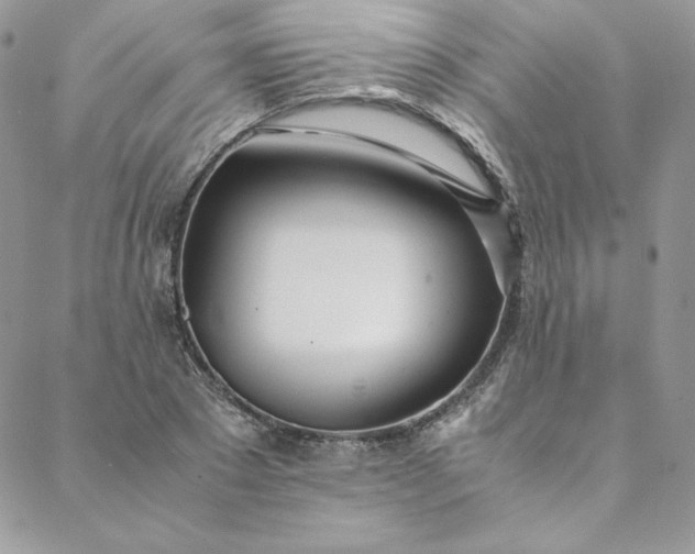 X0000088660881200706081700