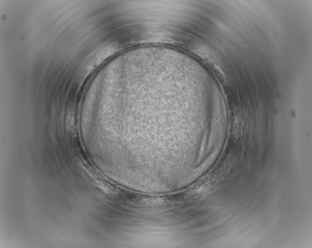 X0000088660882200706081700