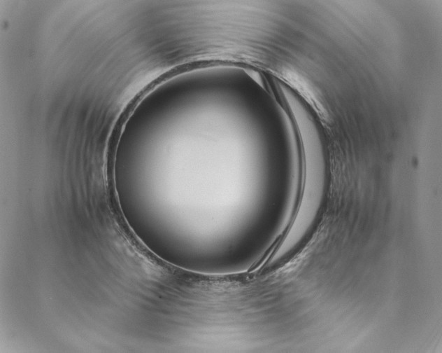 X0000088660884200706081700