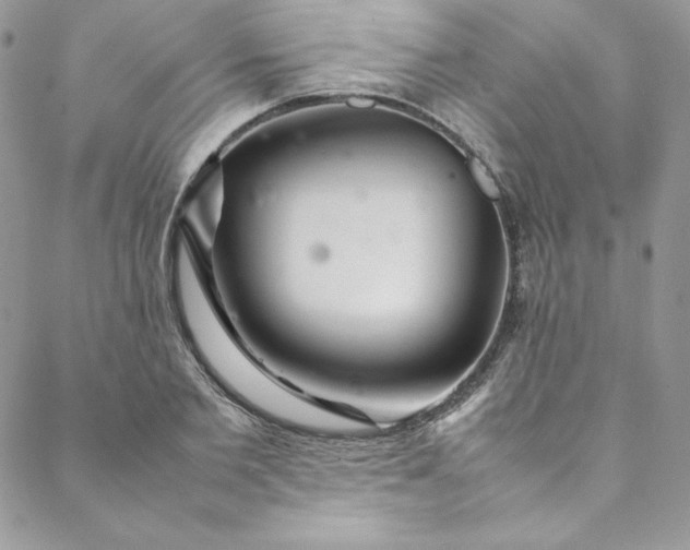 X0000088660885200706081700