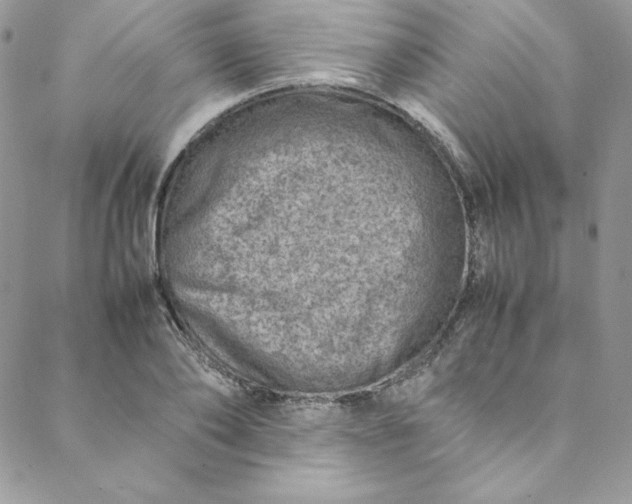 X0000088660886200706081700