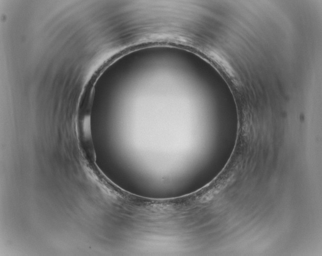 X0000088660888200706081700