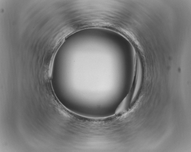 X0000088660889200706081700