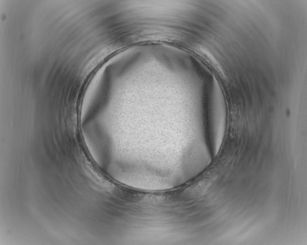 X0000088660890200706081700