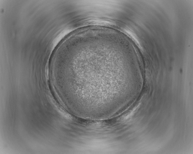 X0000088660891200706081700