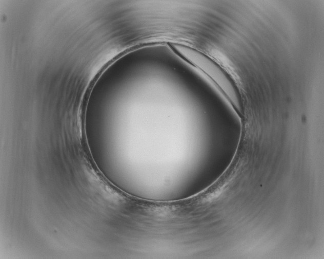 X0000088660892200706081700