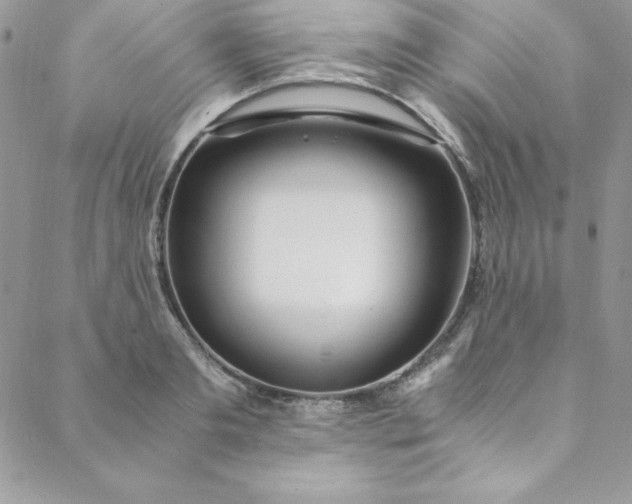 X0000088660893200706081700