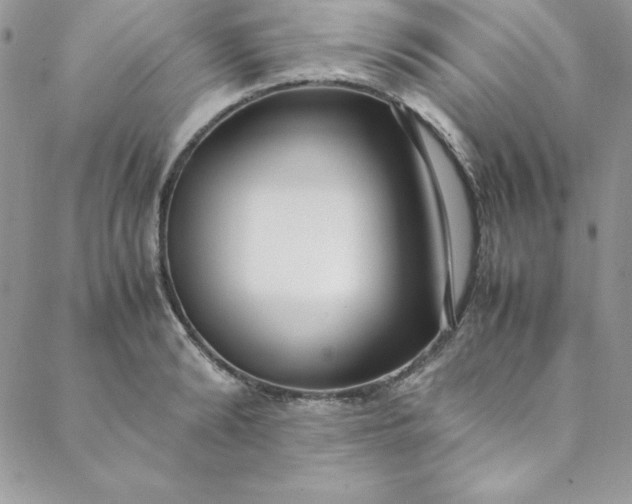 X0000088660894200706081700