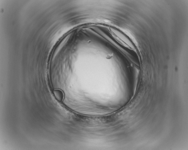 X0000088660895200706081700