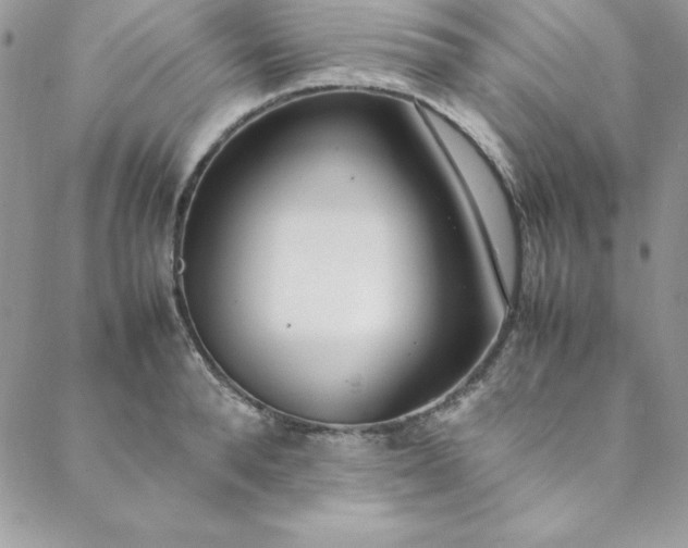 X0000088660896200706081700