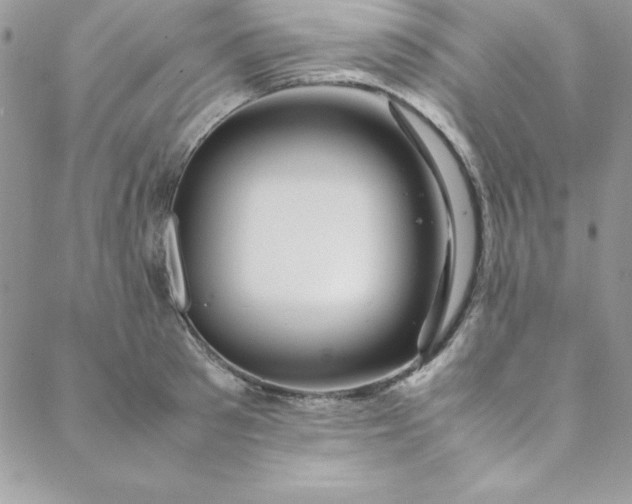 X0000088660897200706081700