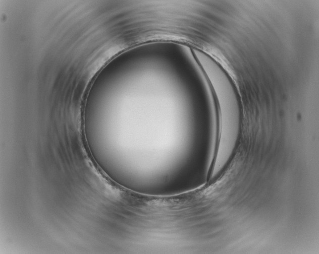 X0000088660898200706081700