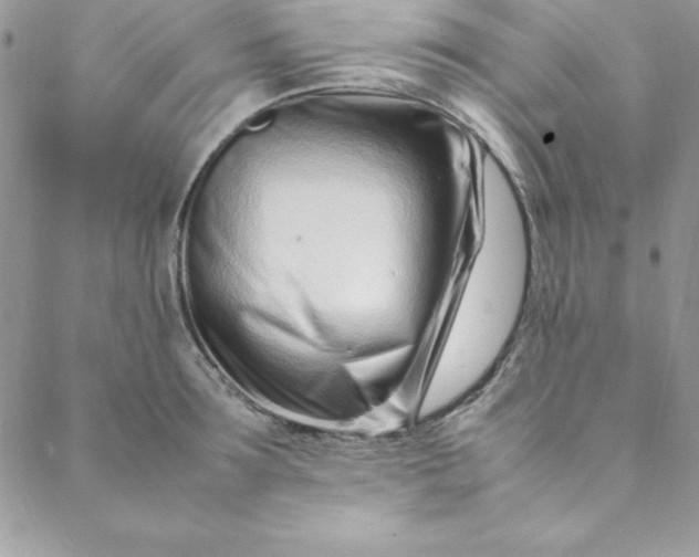 X0000088660899200706081700