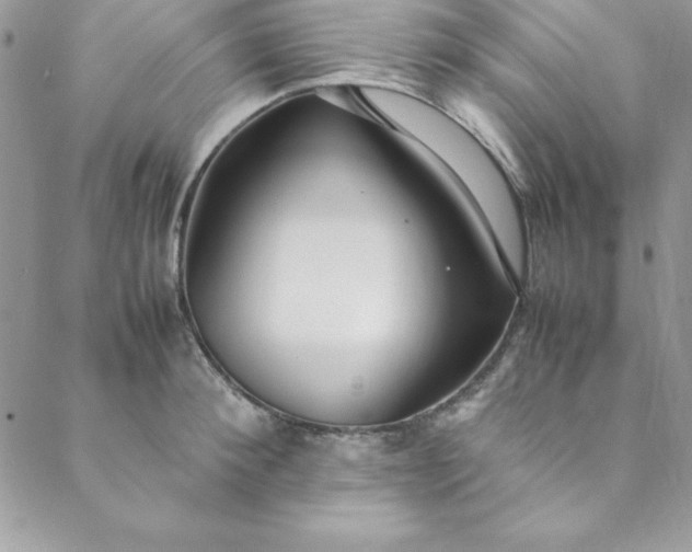 X0000088660900200706081700