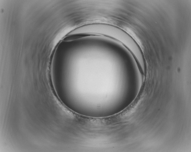 X0000088660901200706081659