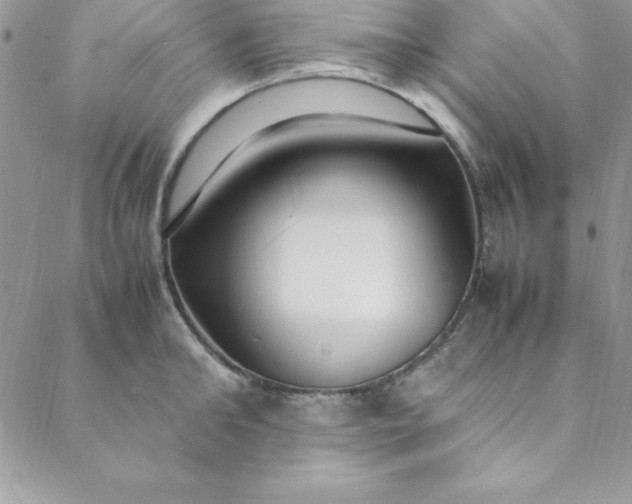 X0000088660902200706081659