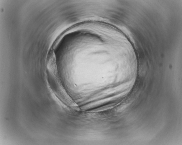 X0000088660903200706081659