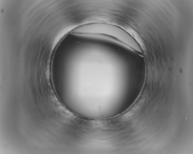 X0000088660904200706081659