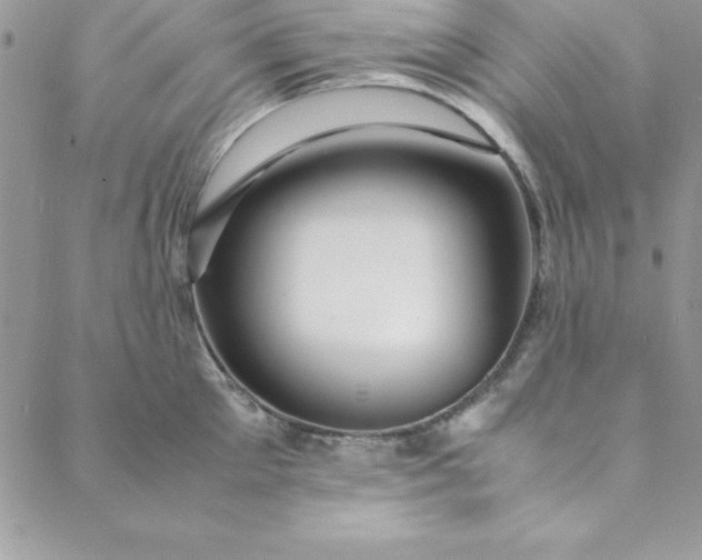 X0000088660905200706081659