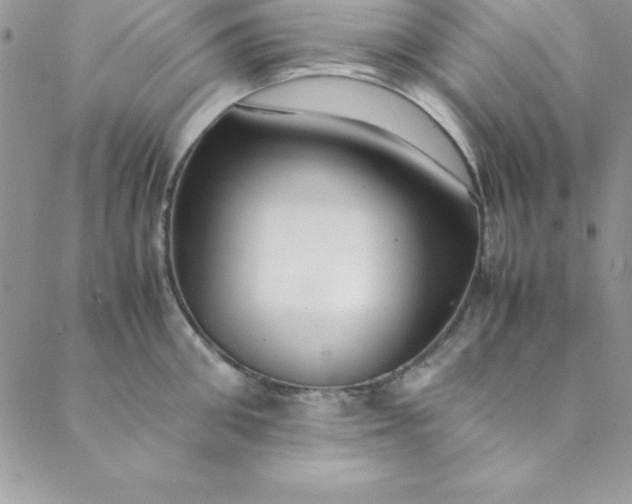 X0000088660906200706081659