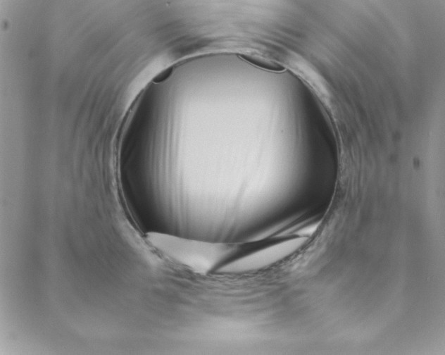 X0000088660907200706081659