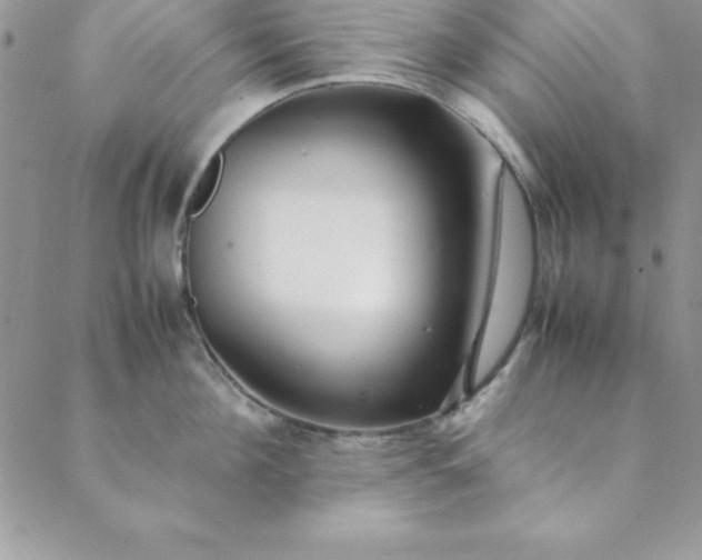 X0000088660908200706081659