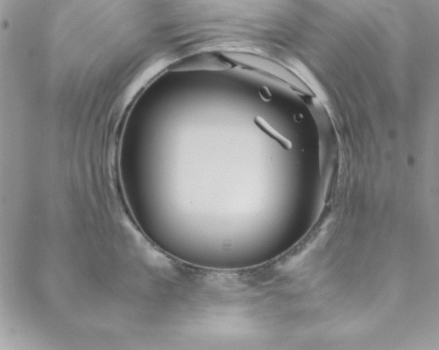 X0000088660909200706081659