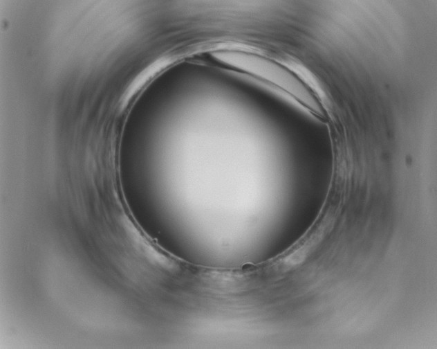 X0000088660910200706081659