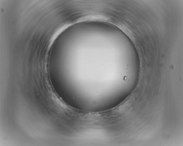 X0000088660912200706081659