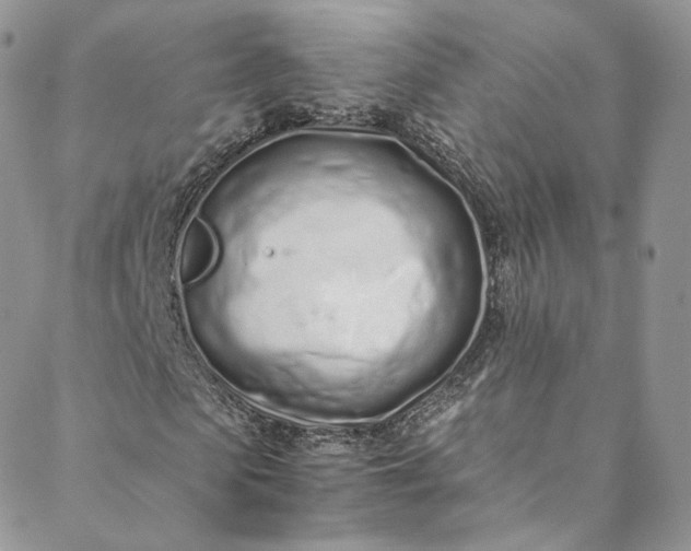 X0000088660913200706081659