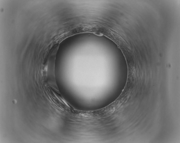 X0000088660914200706081659